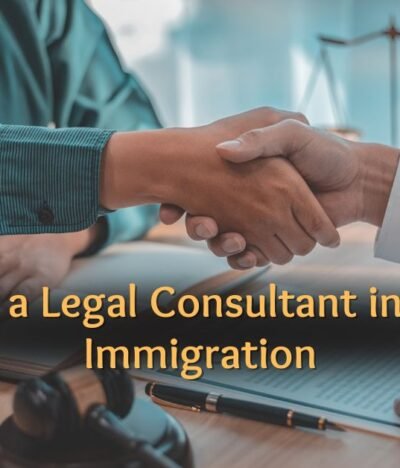 The Role of a Legal Consultant in Successful Immigration