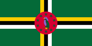 flag dm STF Consultancy